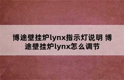 博途壁挂炉lynx指示灯说明 博途壁挂炉lynx怎么调节